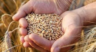 Hububat fiyatları güncellendi