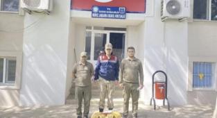 Jandarma kekliklere el koydu!