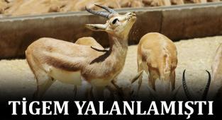 TİGEM yalanlamıştı, gerçek ortaya çıktı!