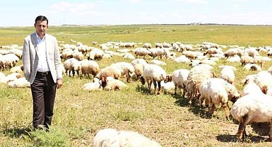 Destekleme ödemleri başlıyor!