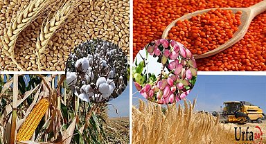 Hububat fiyatları güncellendi