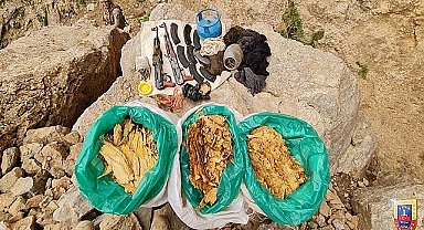 Jandarmadan operasyon!