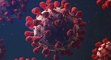 Korona virüs tablosu açıklandı!