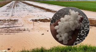 Melik; Şanlıurfa doğal afet bölgesi ilan edilmeli