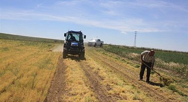 Mercimek hasadına başlandı