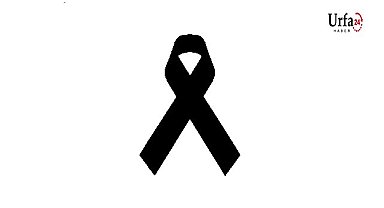 Şanlıurfa'da 7 kişi hayatını kaybetti