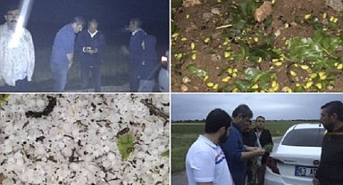 Şanlıurfa'da yağış etkili oldu!