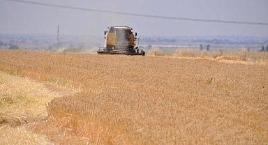 Hububat fiyatları güncellendi