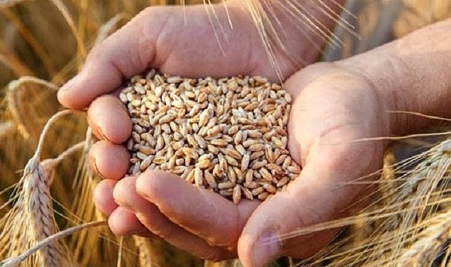 Hububat fiyatlarında son durum!