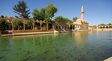 Şanlıurfa'da 5 kişi hayatını kaybetti