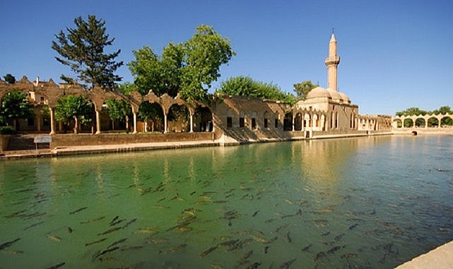 Şanlıurfa'da 6 kişi hayatını kaybetti