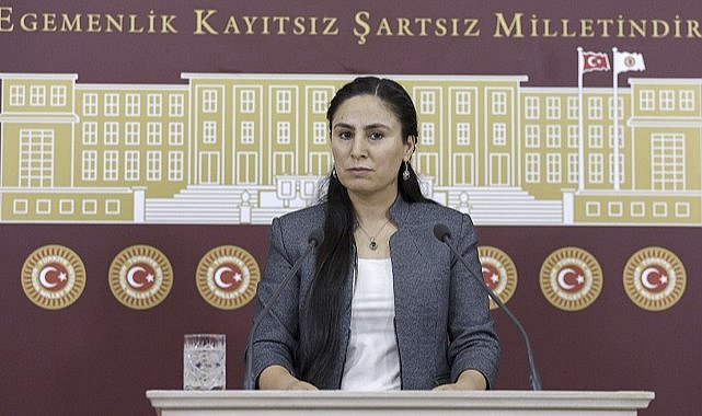 Vekil Sürücü, hızlı treni sordu