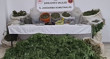 Viranşehir'de operasyon!