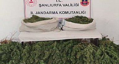 Viranşehir'de uyuşturucu operasyonu!