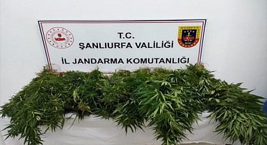 Hint keneviri ele geçirildi