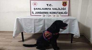 Sigara kaçakçılarına operasyon!