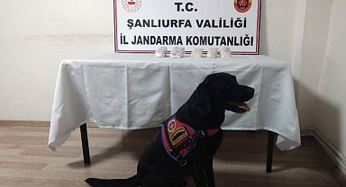 Yolcu otobüsünde esrar yakalandı!