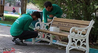 Haliliye'de parklar yenileniyor!