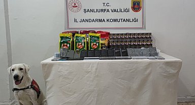 Kaçak telefonları tespit köpeği buldu