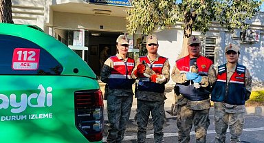 Şanlıurfa'da yabani kuşlar ele geçirildi!