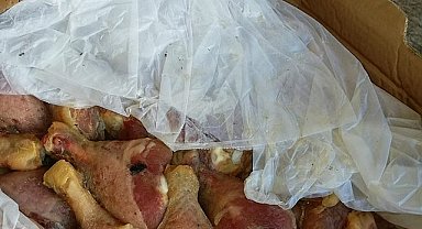 1 ton bozuk tavuk imha edildi!