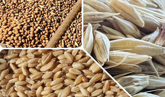 Ticaret Borsası fiyat listesini güncelledi