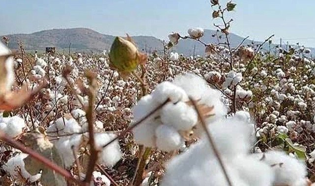 Borsada işlem gören ürünlerin fiyat listesi güncellendi