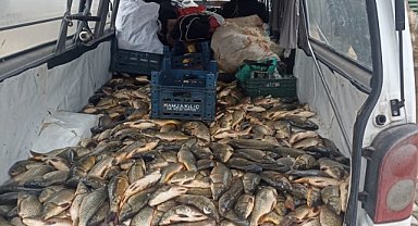 Suruç’ta kaçak avcılara ceza kesildi