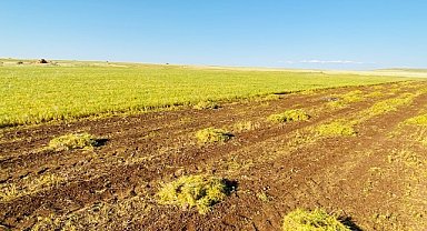 TÜİK'e göre tarımsal girdi fiyatları arttı!