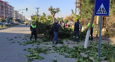 Viranşehir’de park çalışmaları sürüyor