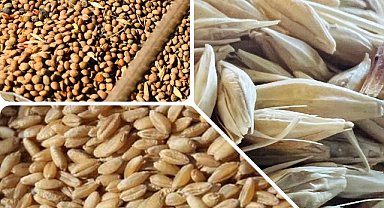 Hububat fiyat listesi güncellendi