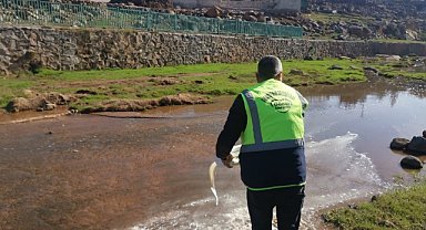 Viranşehir’de ilaçlama çalışmaları sürüyor
