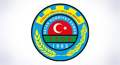 Ziraat odalarında seçim heyecanı yaşanıyor