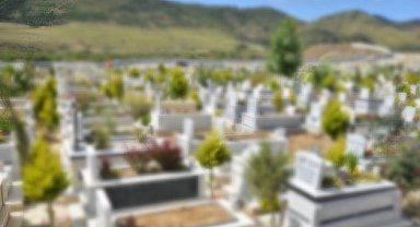 Şanlıurfa'da 5 ailenin acı günü!