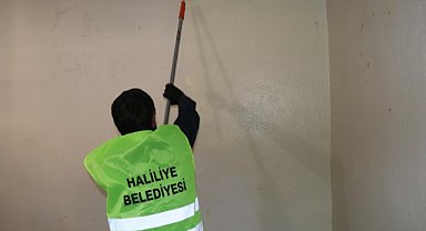 Haliliye’de evler boyanıyor! 