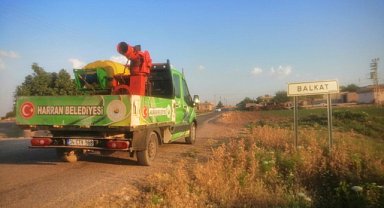 Harran’da haşere ile mücadele devam ediyor!