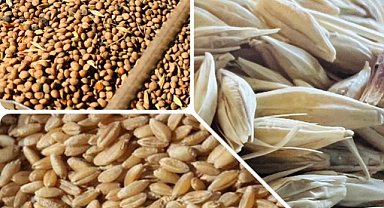 Hububat fiyatları güncellendi!