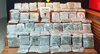 Şanlıurfa’da 38 kilo 100 gram skunk ele geçirildi