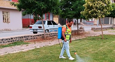 Viranşehir’de ilaçlama çalışmaları sürüyor!