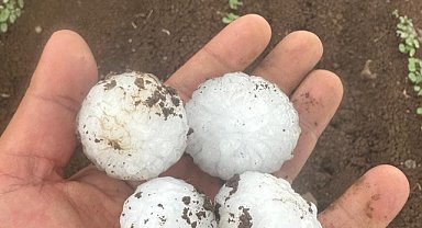 En fazla ödeme 'dolu' hasarlarına yapıldı