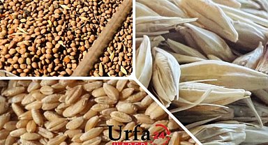 Hububat fiyatları güncellendi!