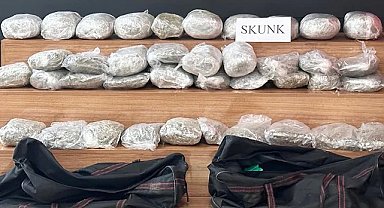 Şanlıurfa'da 32 kilo 660 gram skunk ele geçirildi