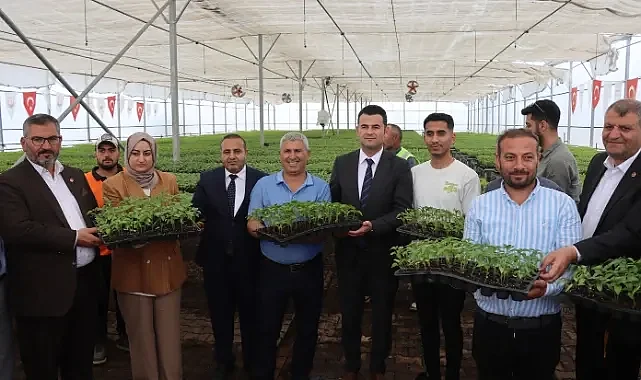 Büyükşehir, çiftçilere biber fidesi dağıttı 