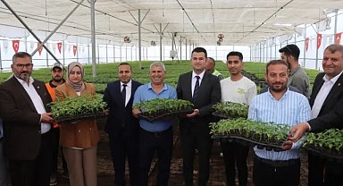 Büyükşehir, çiftçilere biber fidesi dağıttı 