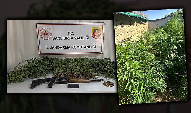 Şanlıurfa'nın 3 ilçesinde uyuşturucu operasyonu