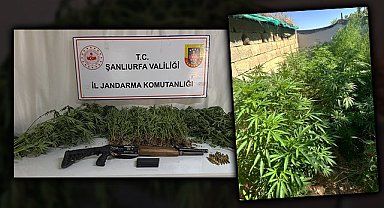 Şanlıurfa'nın 3 ilçesinde uyuşturucu operasyonu