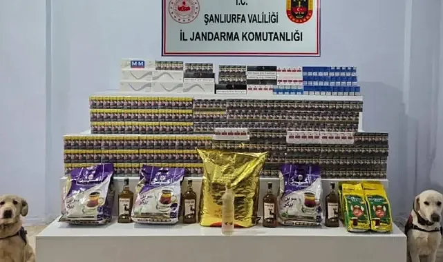 Viranşehir’de 35 şüpheli şahıs hakkında işlem başlatıldı