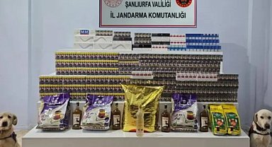 Viranşehir’de 35 şüpheli şahıs hakkında işlem başlatıldı