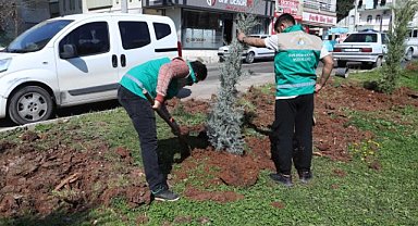 Haliliye Belediyesi yaz öncesi parklarda çalışmalarını sürdürüyor!