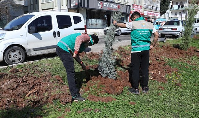 Haliliye Belediyesi yaz öncesi parklarda çalışmalarını sürdürüyor!